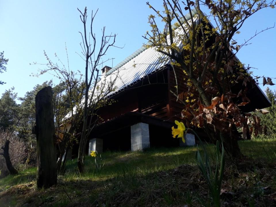 Lesna Polana Villa Górzno Exterior foto