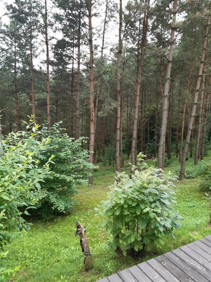 Lesna Polana Villa Górzno Exterior foto