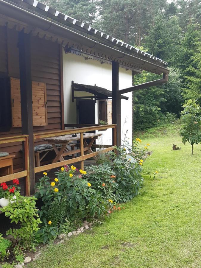 Lesna Polana Villa Górzno Exterior foto
