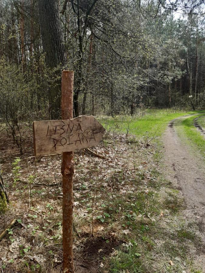 Lesna Polana Villa Górzno Exterior foto