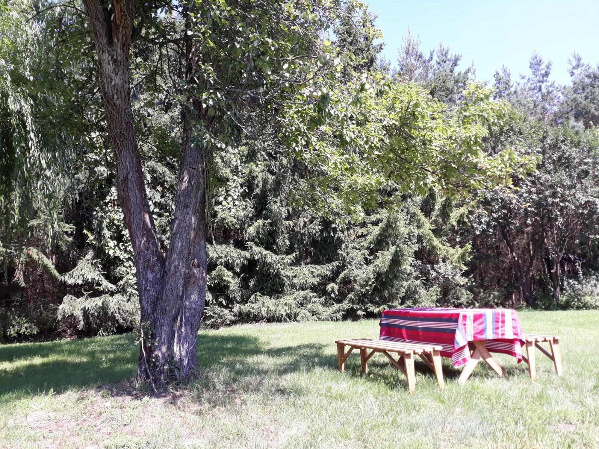 Lesna Polana Villa Górzno Exterior foto